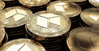 Криптовалюта NEO: обзор, стоит ли вкладываться, как торговать NEO
