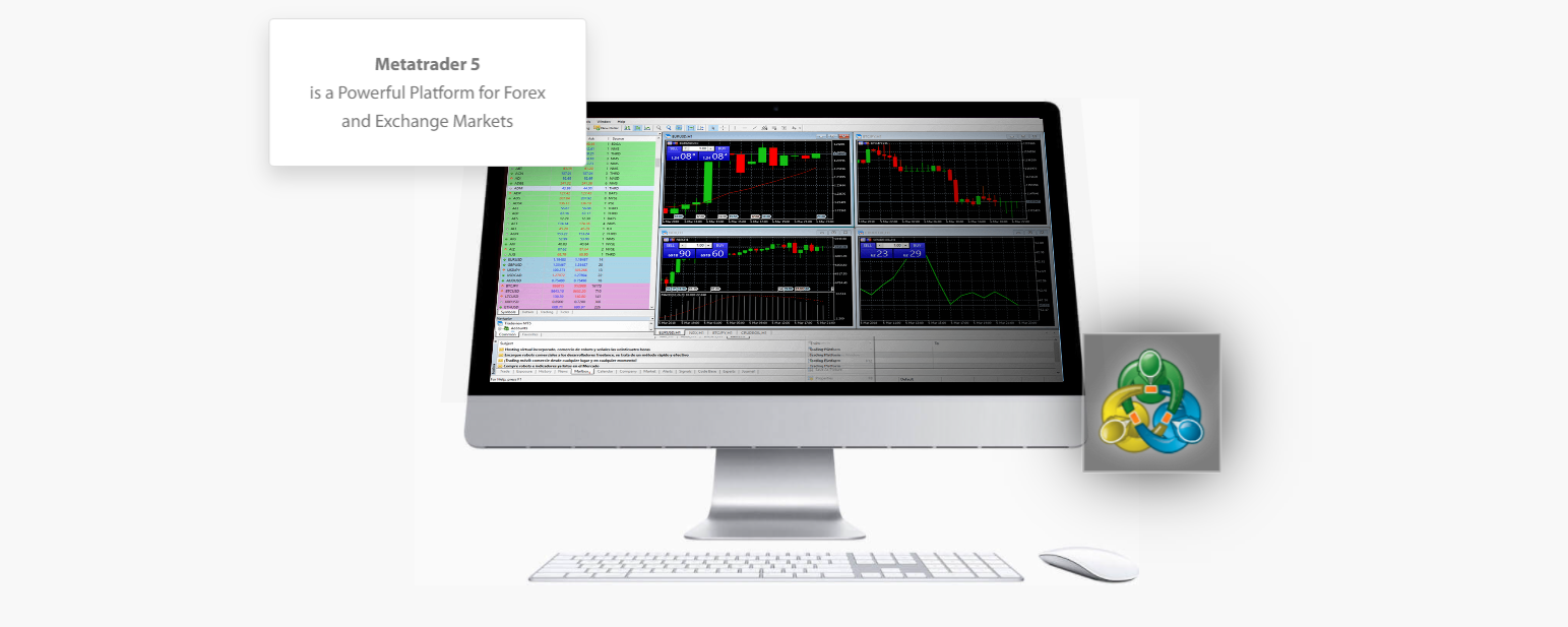 tradeview forex торговые терминал 