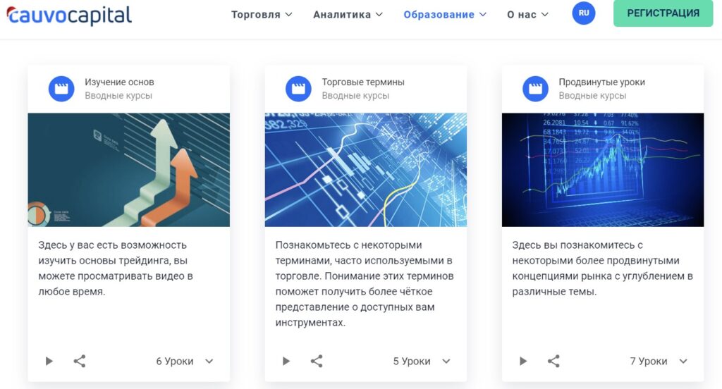 Аналитика и образование от CauvoCapital